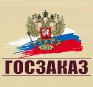 Получение госзаказов через электронные торги